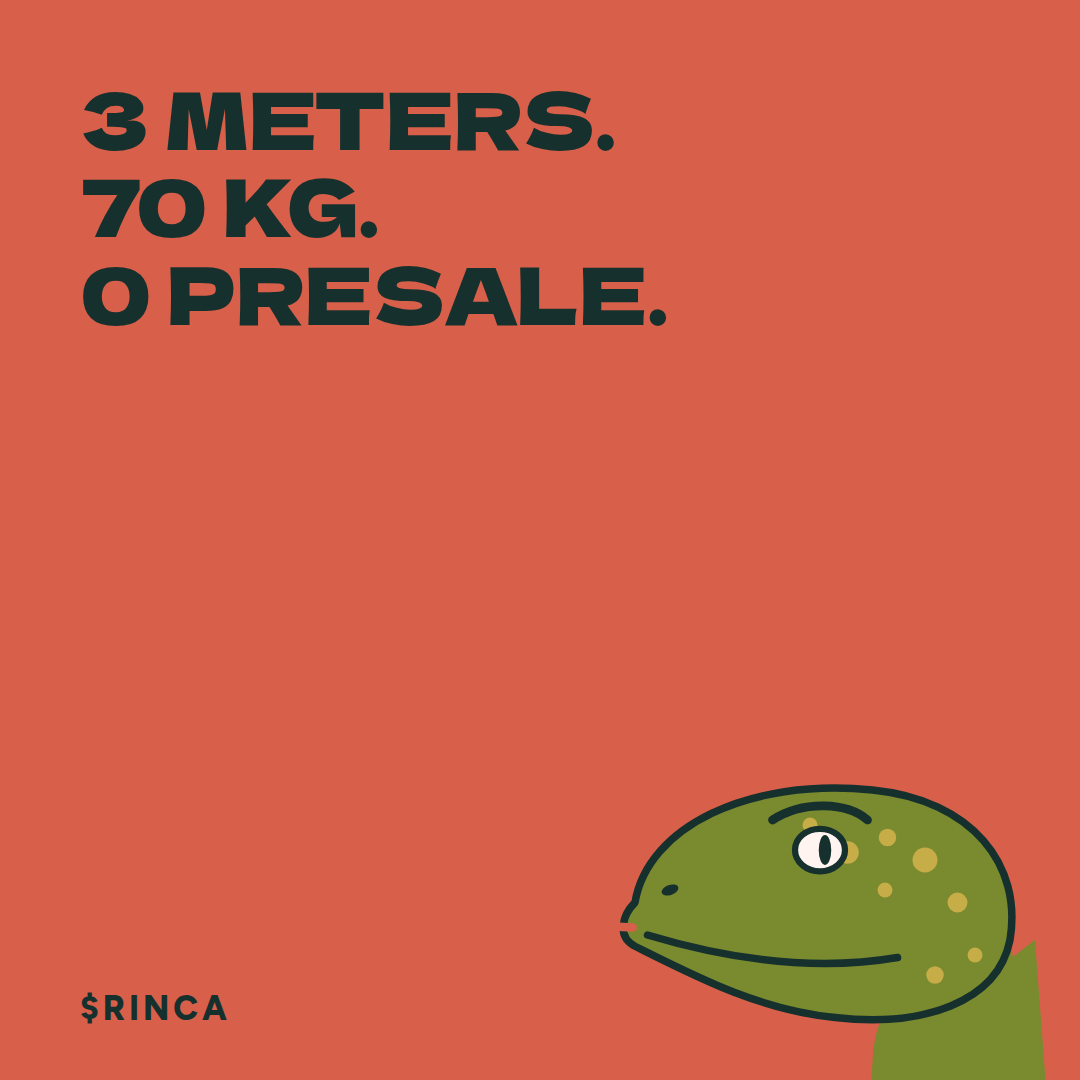 Rinca meme: 3 meters. 70 kg. 0 presale.