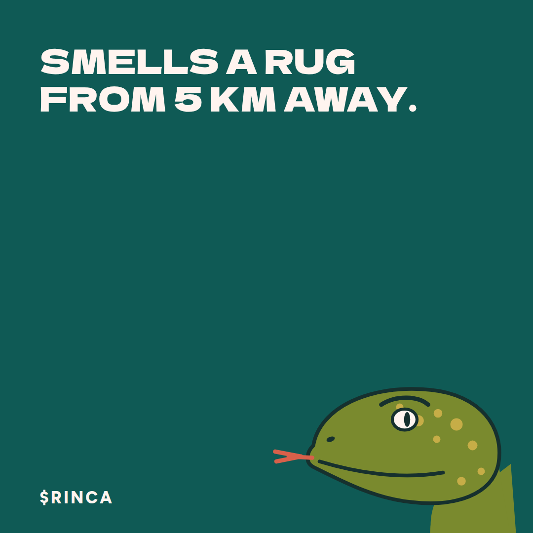 Rinca meme: Smells a rug from 5 km away.
